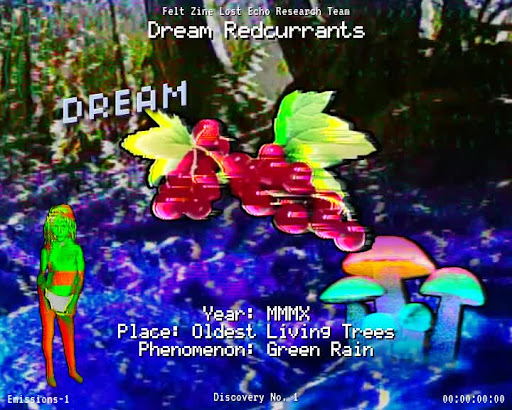 #1 | Dream Redcurrants