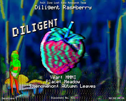 #431 | Diligent Raspberry