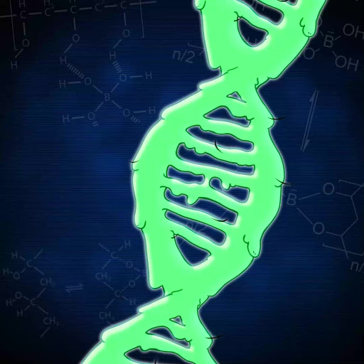 DNA by Animeme Labs