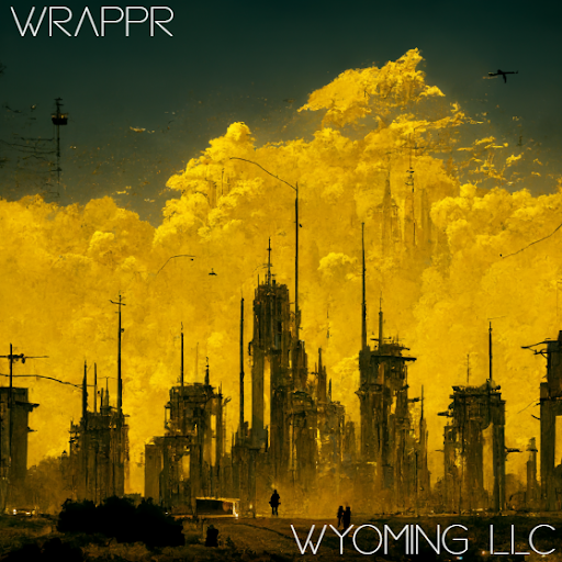 Wrappr LLC - Cooperlifestyles - Series 9