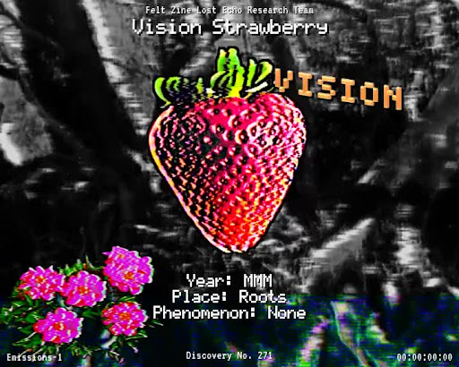 #271 | Vision Strawberry