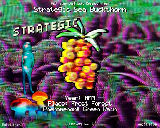 #6 | Strategic Sea Buckthorn