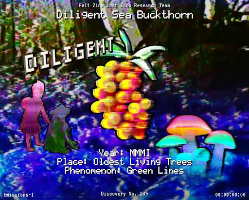 #139 | Diligent Sea Buckthorn