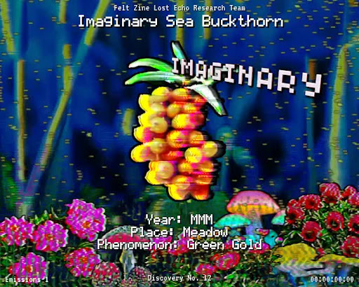 #12 | Imaginary Sea Buckthorn
