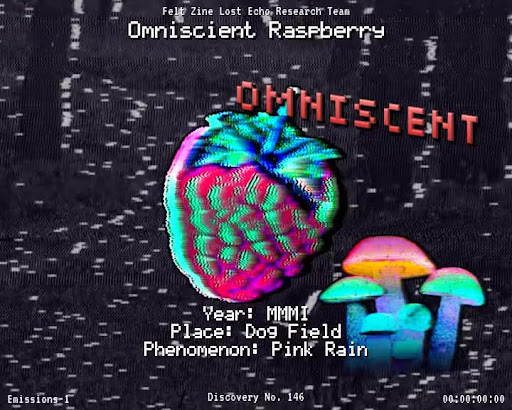 #146 | Omniscient Raspberry