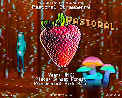 #102 | Pastoral Strawberry