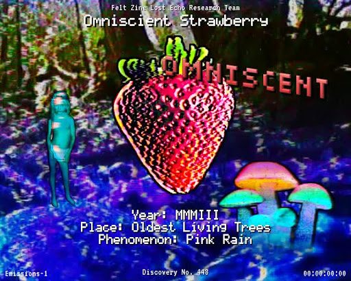 #448 | Omniscient Strawberry