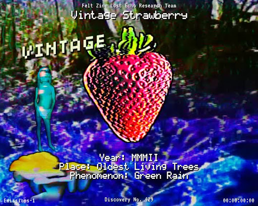 #429 | Vintage Strawberry