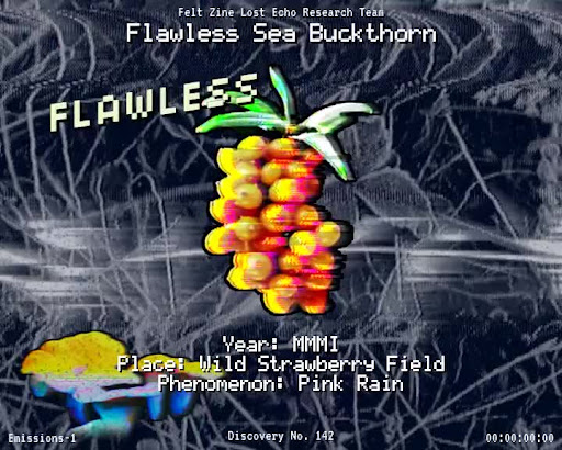 #142 | Flawless Sea Buckthorn