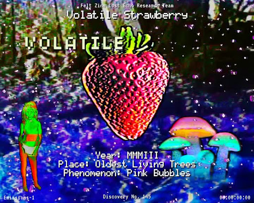 #145 | Volatile Strawberry