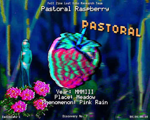 #7 | Pastoral Raspberry