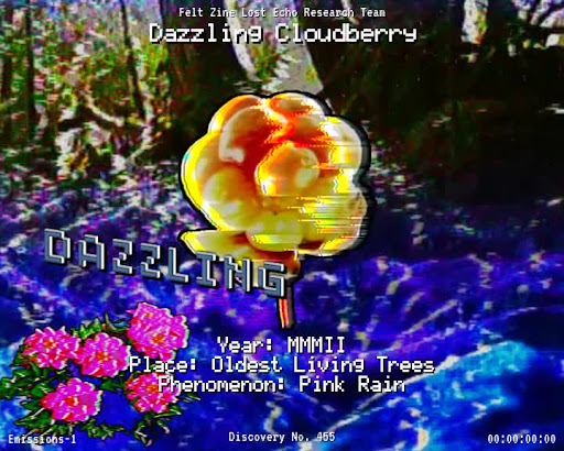 #455 | Dazzling Cloudberry