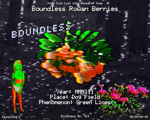 #414 | Boundless Rowan Berries