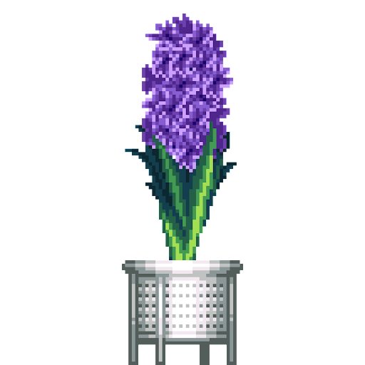 Purple Hyacinth in White Rattan pot