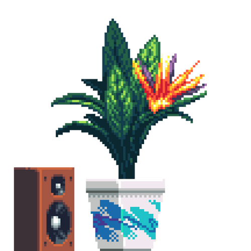 Bird of Paradise in Square Jazz pot with Speaker