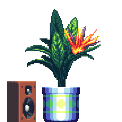 Bird of Paradise in Large Pattern pot with Speaker