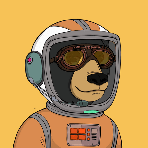 Okay Space Bear #103