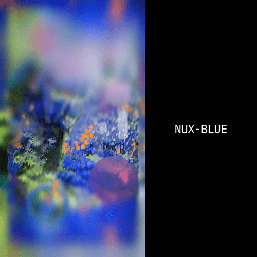 nux_blue #19