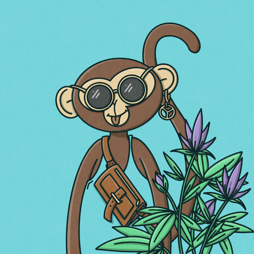 Monkey Trip #1033