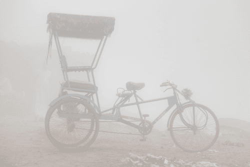 Rickshaw in Vrindavana #8/8