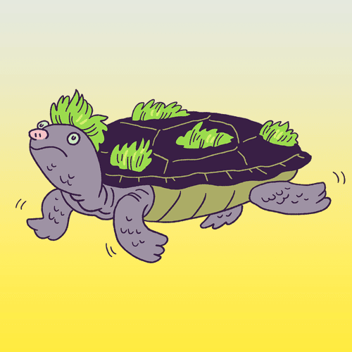 River Turtle #1131