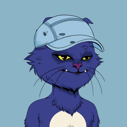 Not Angry Cat #6175