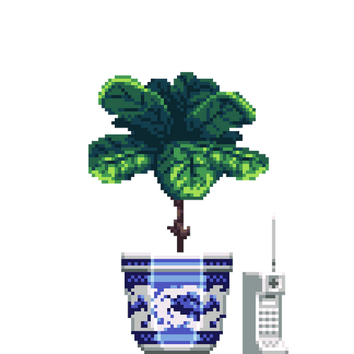 Fiddle-Leaf Fig in Porcelain pot with Phone