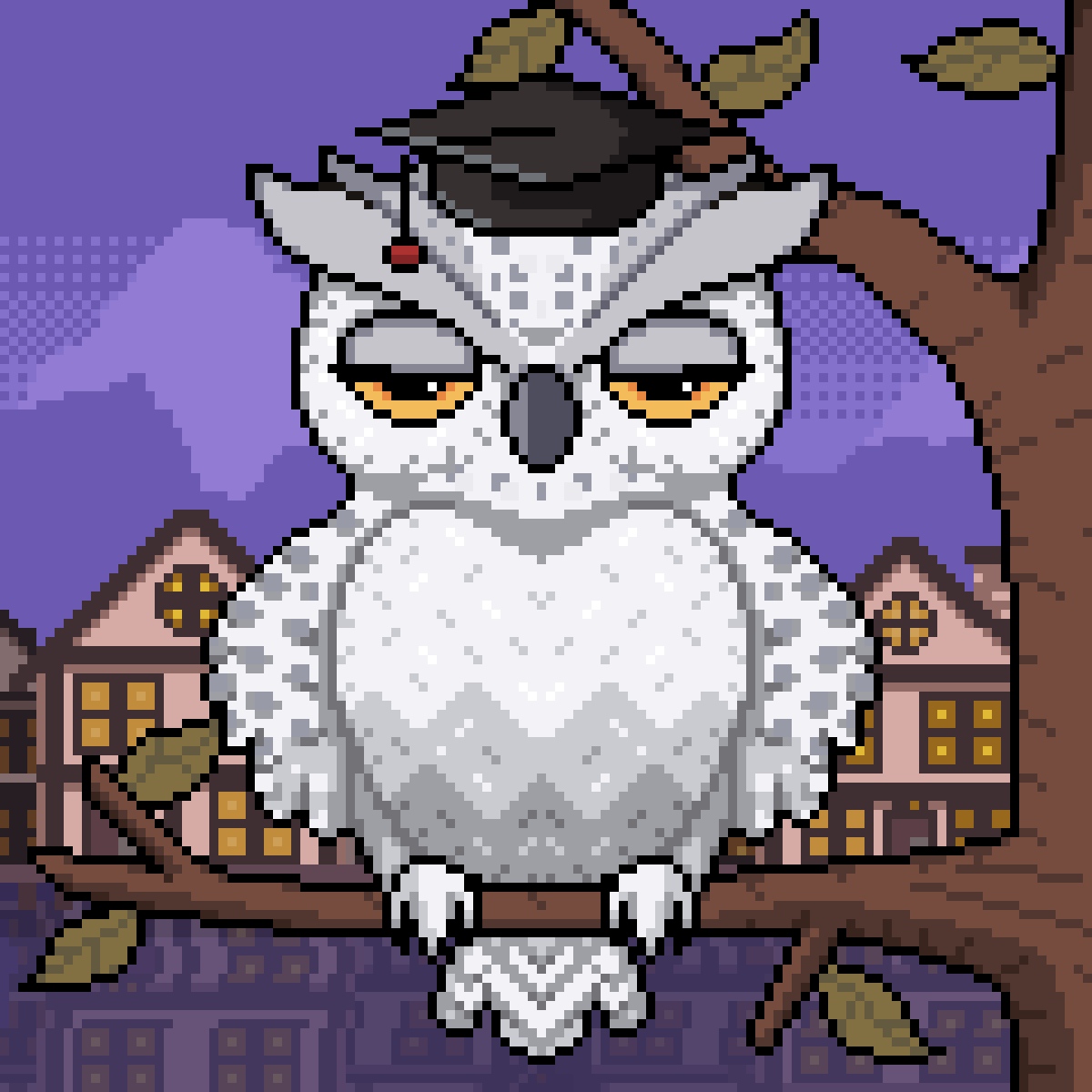 Night Owls #2305