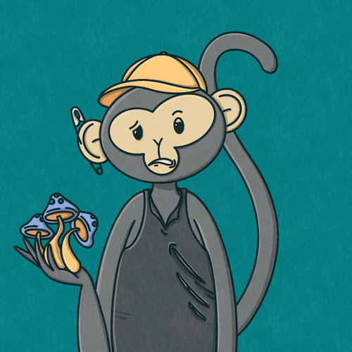 Monkey Trip #506